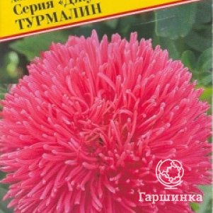 

Астра Джуэл Турмалин 0,3 г, Семена Престиж