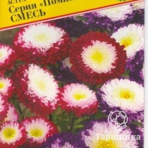 

Астра Помпонная смесь 0,3 г, Семена Престиж