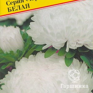 

Астра Тауэр Белая 0,3 г, Семена Престиж