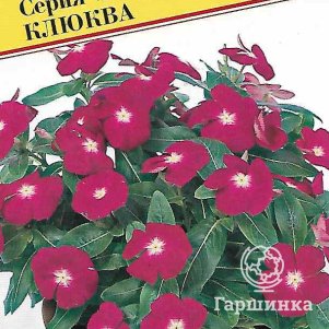 Барвинок Виктори Клюква 10 шт Семена Престиж 58₽