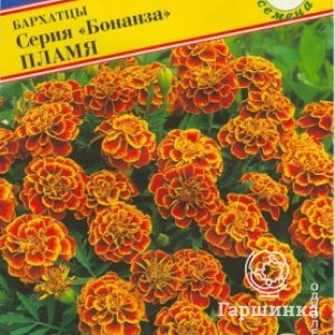 

Бархатцы Бонанза Пламя отклоненные 10 шт, Семена Престиж