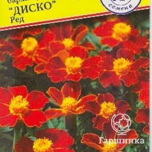 

Бархатцы Диско Ред отклоненные 5 шт, Семена Престиж