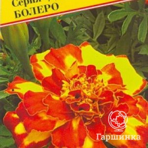 

Бархатцы Дюранго Болеро (РС-1) отклонённые 10 шт, Семена Престиж