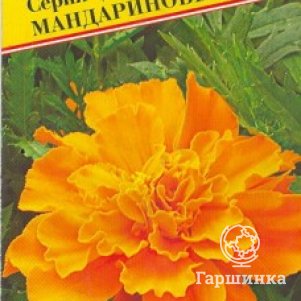 

Бархатцы Дюранго Мандариновые (РС-1) отклонённые 10 шт, Семена Престиж