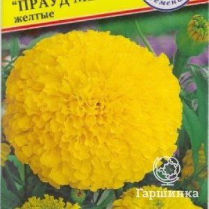 

Бархатцы Прауд Мэри Желтые F1 прямостоячие 5 шт, Семена Престиж