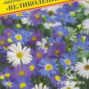 

Брахикома Великолепная 0,05 гр, Семена Престиж