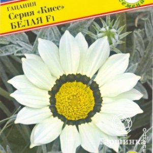 

Гацания Белая F1 (серия Кисс) 5 шт, Семена Престиж