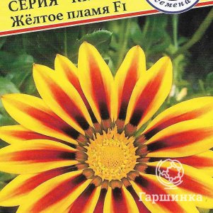 

Гацания Жёлтое пламя F1 Кисс 5 шт, Семена Престиж