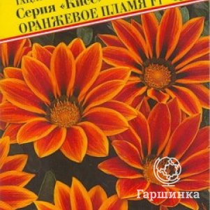 

Гацания Оранжевое пламя F1 Кисс 5 шт, Семена Престиж