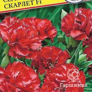 

Гвоздика Лилипот Скарлет F1 5 шт, Семена Престиж