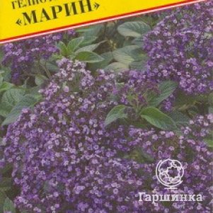 

Гелиотроп Марин перуанский 0,03 г, Семена Престиж