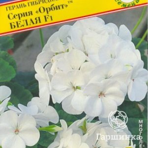 

Герань Орбит F1 Белая гибридная 5 шт, Семена Престиж