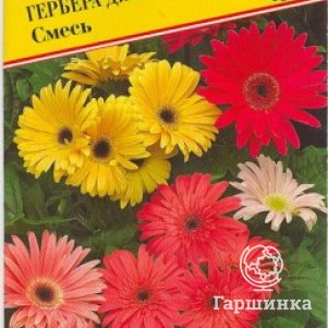 

Гербера Джеймсона F1 Смесь 5 шт, Семена Престиж