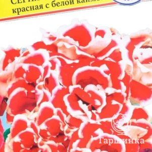 

Глоксиния Красная с каймой F1 (Брокэйд) 10 др, Семена Престиж