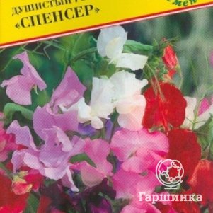 

Душистый горошек Спенсер 10 шт, Семена Престиж