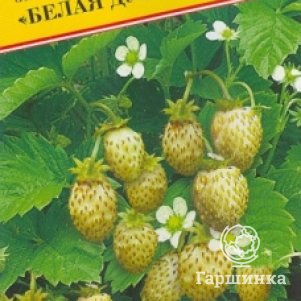 Земляника Белая душа лесная 005 г Семена Престиж 53₽
