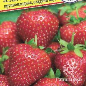 Земляника Сан Андреасс ремонтантная 001 г Семена Престиж 143₽