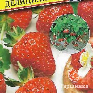 Клубника Делициан F1 крупноплодная 5 шт Семена Престиж 161₽