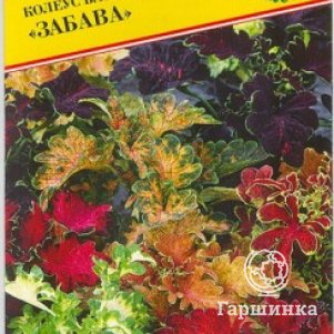 Колеус блюме Забава Смесь 10 шт, Семена Престиж