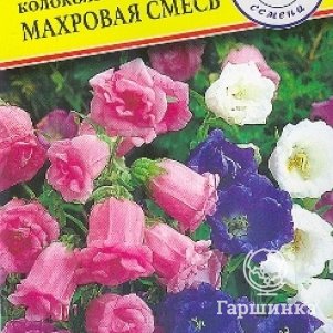 

Колокольчик Махровая смесь средний 0,1 г, Семена Престиж
