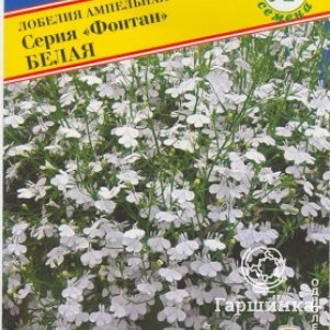 Лобелия Белая ампельная (серия Фонтан) 0,05 г, Семена Престиж