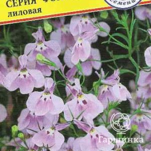 Лобелия Лиловая ампельная (серия Фонтан) 0,05 г, Семена Престиж