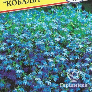 

Лобелия Кобальт кустовая 0,05 г, Семена Престиж