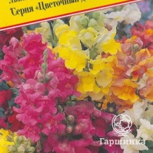 

Львиный зев Цветочный дождь Смесь F1 10 шт, Семена Престиж