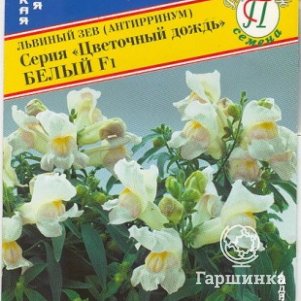 

Львиный зев Белый F1 (серия Цветочный дождь) 15 шт, Семена Престиж