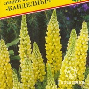 Люпин Канделябр 15 шт, Семена Престиж