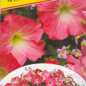

Мультисмесь Голубой рассвет 2 др, Семена Престиж