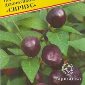 

Перец Сириус декоративный 10 шт, Семена Престиж