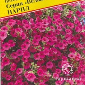 Петуния Парпл F1 ампельная (серия Вельвет) 5 др, Семена Престиж