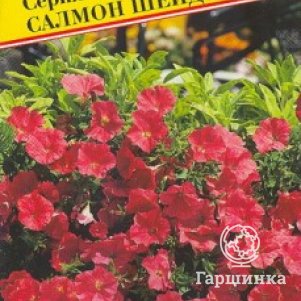 Петуния Салмон Шейдс F1 ампельная (серия Вельвет) 5 др, Семена Престиж