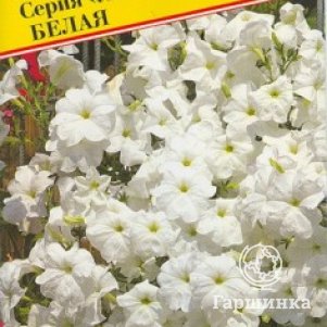 Петуния Белая F1 ампельная (серия Лавина) 10 др, Семена Престиж