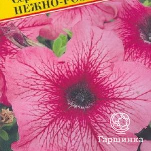 Петуния Нежно-розовая F1 грандифлора (серия Дадди) 10 др, Семена Престиж