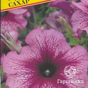 

Петуния Сахар F1 грандифлора (серия Дадди) 10 др, Семена Престиж