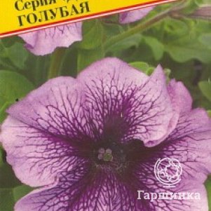 Петуния Пинк Вейн F1 грандифлора (серия Игл) 10 др, Семена Престиж