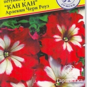 

Петуния Черри Роуз (серия Кан-Кан Арлекин) 5 др, Семена Престиж