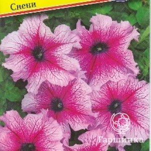Петуния Снени F1 грандифлора (серия Нана) 10 др, Семена Престиж