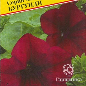 Петуния Бургунди мультифлора (серия Ламбада) F1  10 др, Семена Престиж