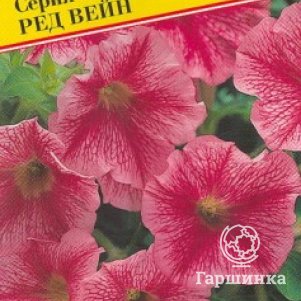 Петуния Ред вейн мультифлора (серия Ламбада) F1  10 др, Семена Престиж