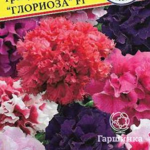 Петуния Глориоза Смесь F1 5 др, Семена Престиж
