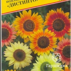 

Подсолнечник Дистинто однолетний 10 шт, Семена Престиж