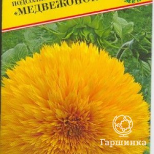 Подсолнечник Медвежонок однолетний 10 шт Семена Престиж 17₽
