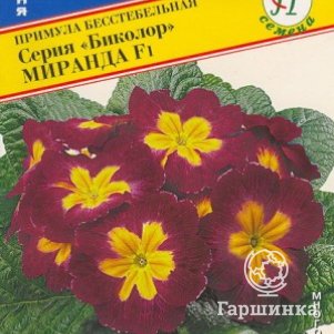 

Примула Миранда F1 (Биколор) 5 шт, Семена Престиж