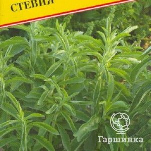 

Стевия (Медовая трава) 5 шт, Семена Престиж