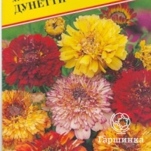 

Хризантема Дунетти 0,5 г, Семена Престиж