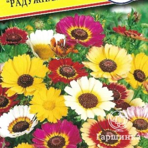 

Хризантема Радужная Смесь 0,05 г, Семена Престиж