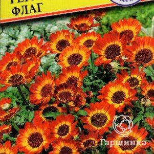 

Хризантема Германский флаг посевная 0,5 г, Семена Престиж